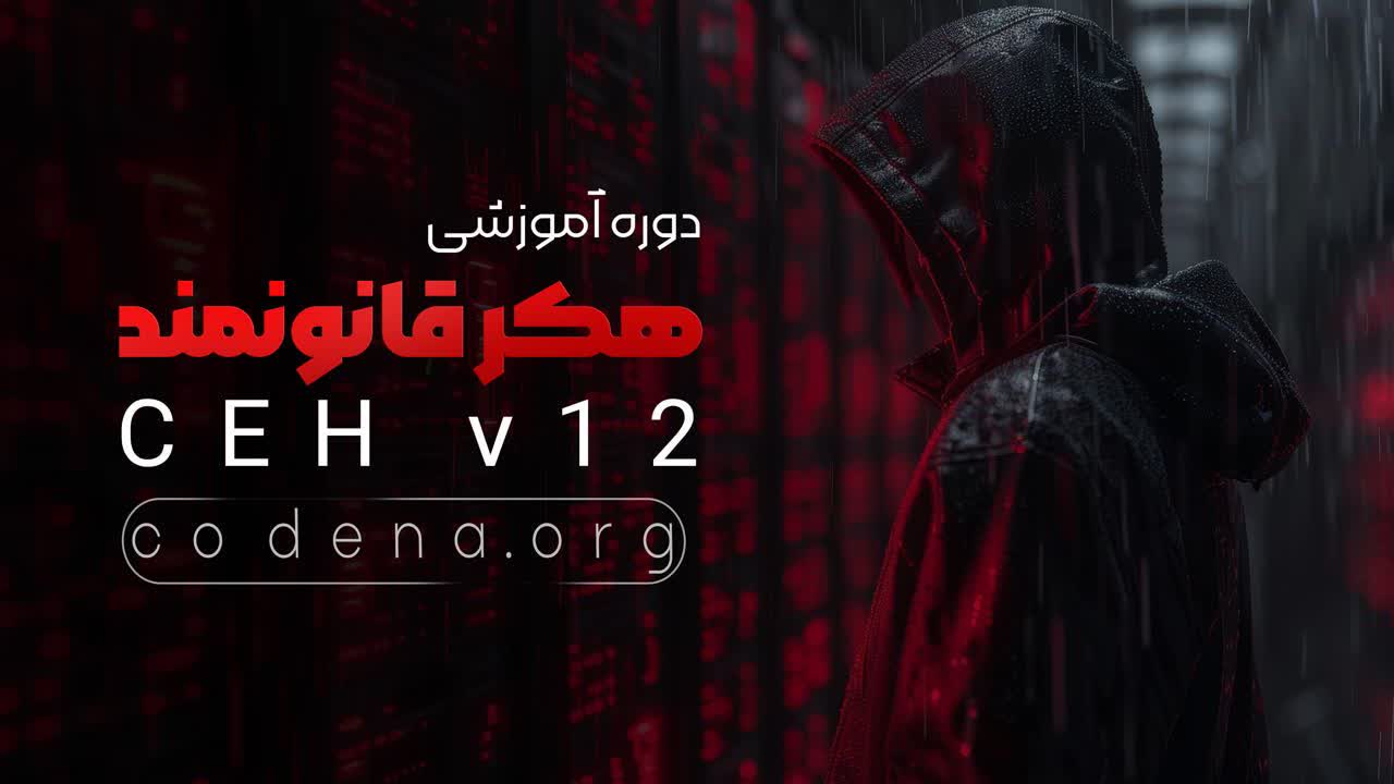 هکر قانونمند