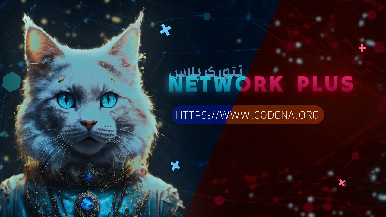 +network