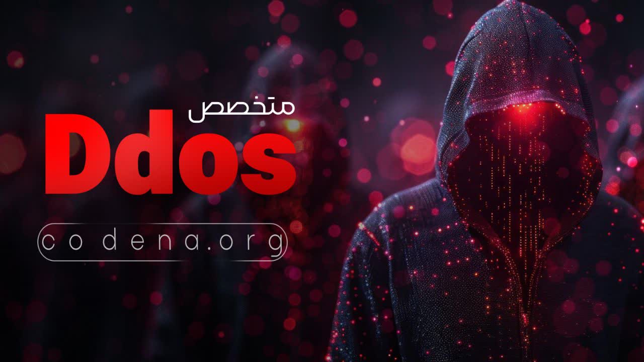 متخصص حملات دیداس